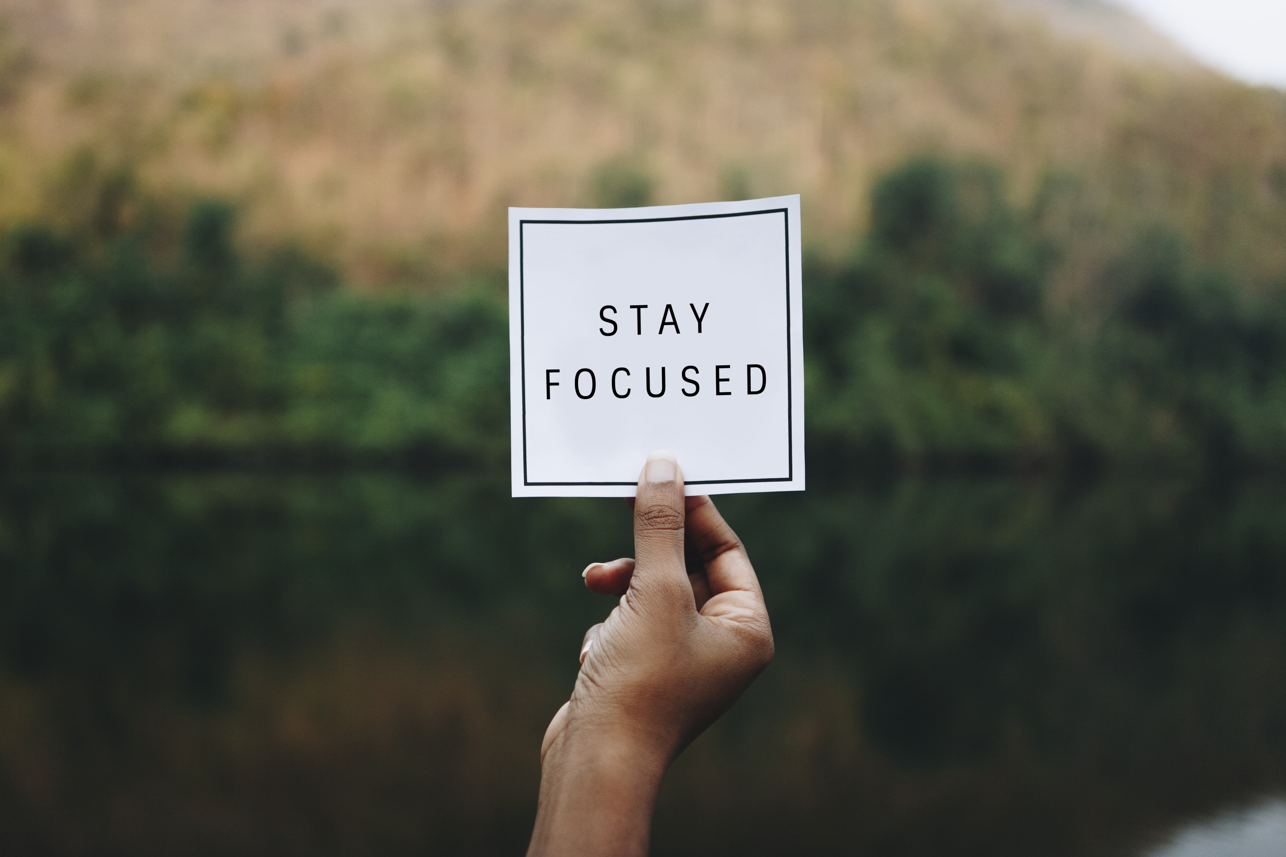 Stay Focused